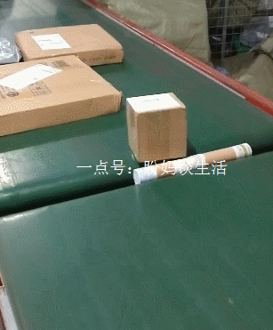 爆笑gif: 确认过眼神,没遇上对的人