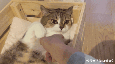 搞笑幽默的动态图gif 直播的时候妈妈进来了 扎心啊