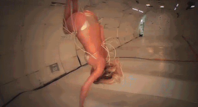 壁纸 动物 鱼 鱼类 635_345 gif 动态图 动图