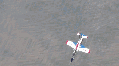 壁纸 动物 鸟 鸟类 400_225 gif 动态图 动图