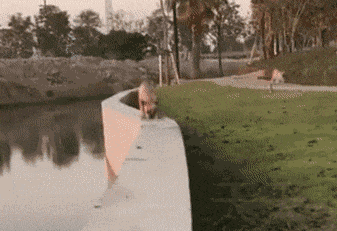 精选搞笑gif:大妈打个针而已,各种表情包都做出来了