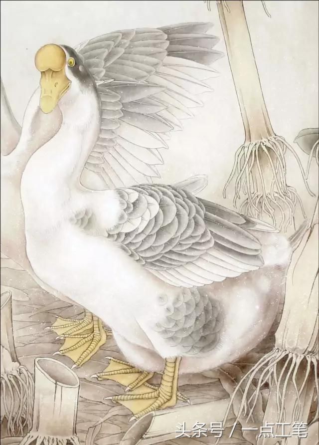 ʹƷֲ