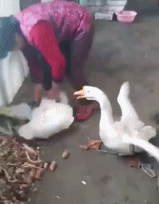 搞笑gif:作死小哥儿喂女票吃香皂,活着不好吗?