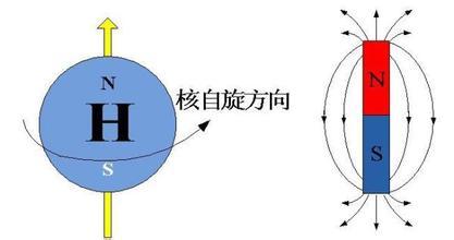为何粒子都有自旋