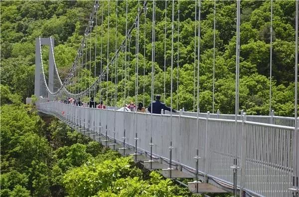 龙井裕龙湾风景区开业了!我州首座玻璃吊桥华丽亮相!