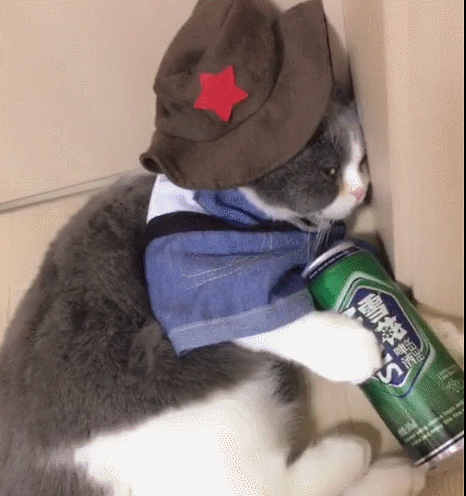 给猫咪喝酒,是一种不负责任的行为哦.