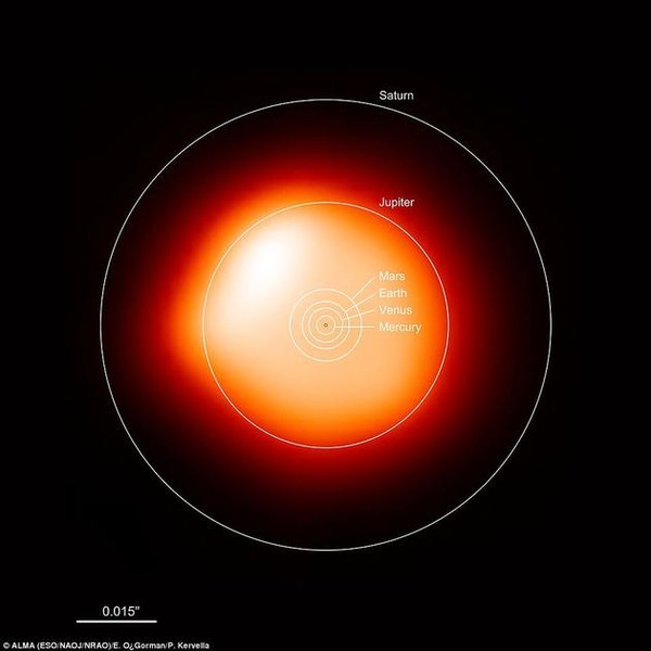 猎户座参宿四体积巨大:10万年前或吞噬周围恒星