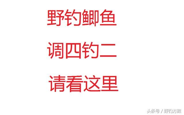 钓鱼调漂的正确方法