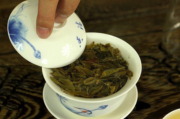 普洱生茶冲泡细节图