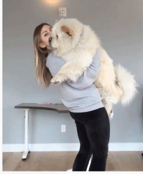 人不如狗系列&hellip;&hellip