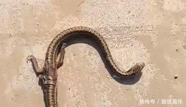 小伙路边发现长有