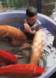 搞笑内涵:那么胖,还要吃大的,没人要你做女朋友!