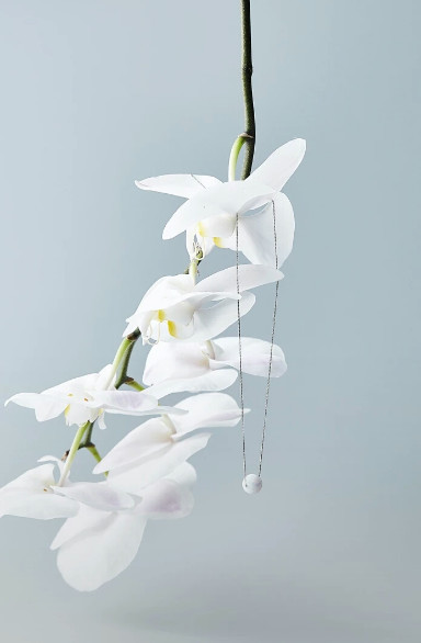 做梦梦到项链断了,寓意与解析 做梦梦到项链断了,寓意与解析