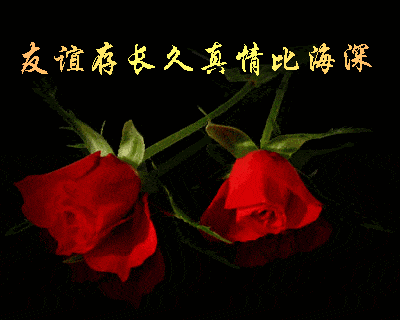 壁纸 花 桌面 400_320 gif 动态图 动图