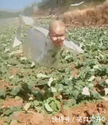 搞笑幽默的动态图gif 这两个小宝贝真是很可爱