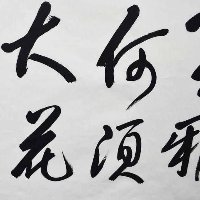 董卿的书法到底怎么样?