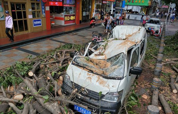 台风过境后深圳巨灾险启动理赔:所有人均可报案