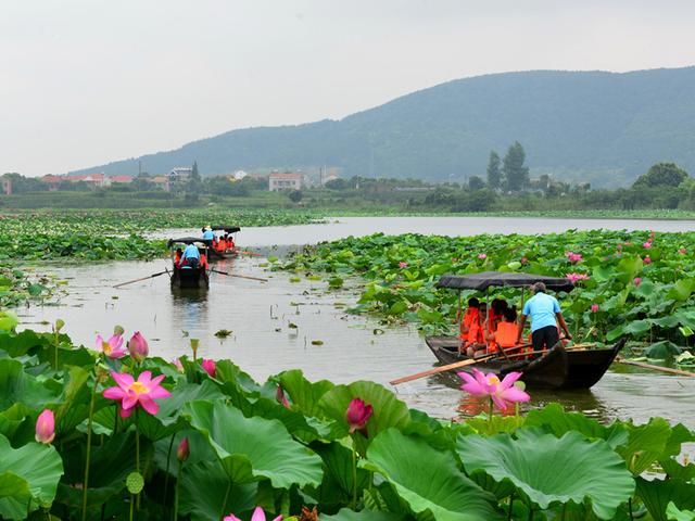 蔡甸金龙水寨 景区供图