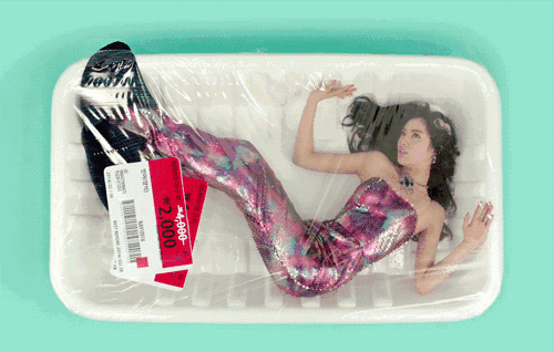 500_318 gif 动态图 动图