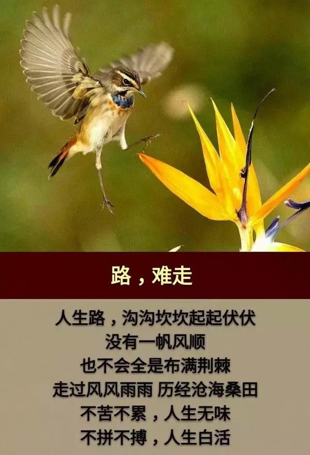 不苦不累,人生无味!不拼不搏,人生白活.