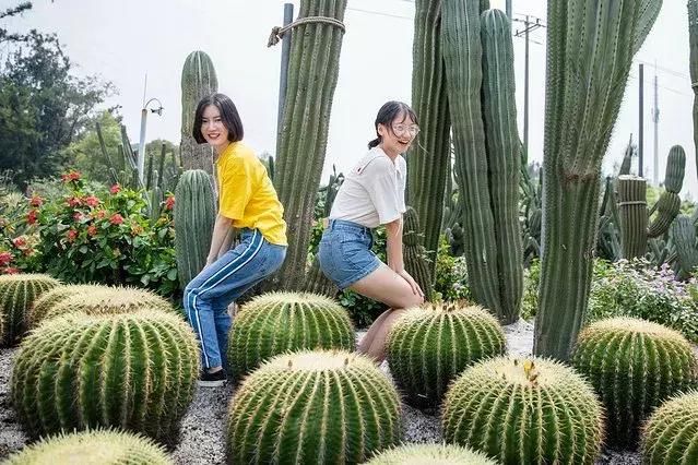 2018白羊和女孩攻略厦门四日v女孩射手分享向编发女生2015图片