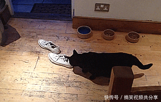 搞笑gif: 姑娘, 你胆子真大, 我都不敢玩