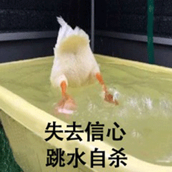 希望你们会喜欢~ 微信发 动图 默认变为 表情 动物趣视为本期图片做了