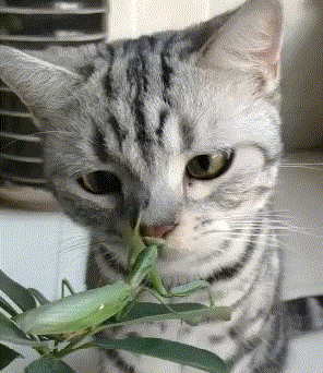 那就别怨我不客气了.