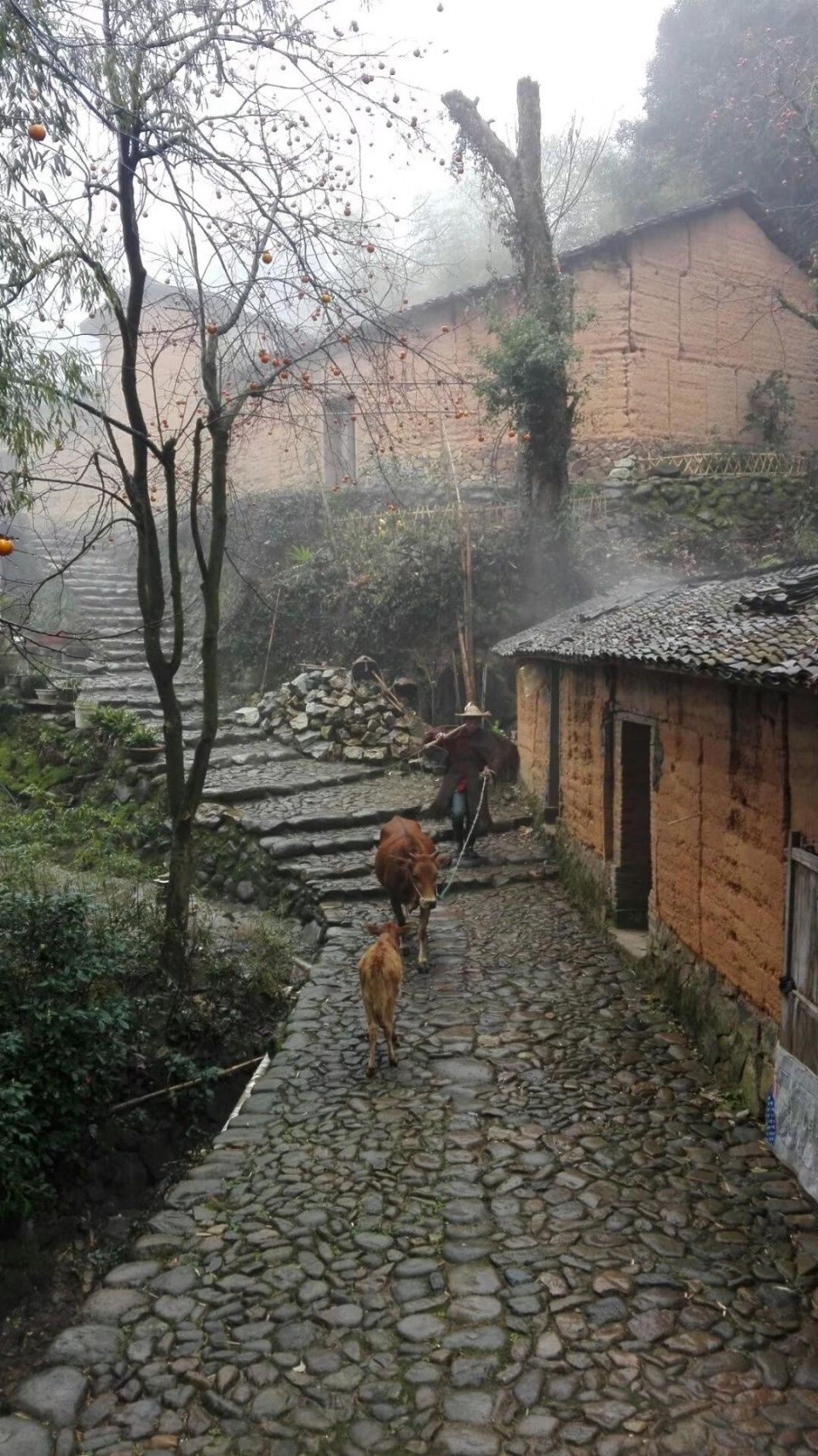 浙江松阳平田古村落,美丽乡村旅游绝佳目的地