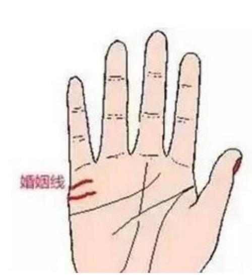 在小指下的掌边,介于小指和感情纹之间,有的人只有一条,有的则有数