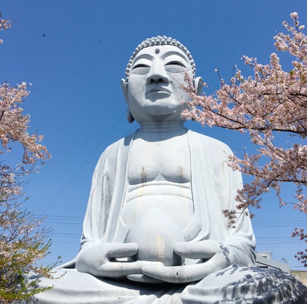 我佛慈悲且a网友!日本网友大佛被墨镜举萝卜表情包做成表图片