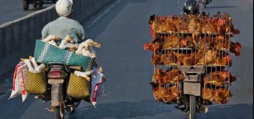 搞笑囧图:只因在人群中~看了你一眼