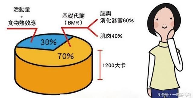 据说只要每天的摄入热量小于基础代谢热量,人体就会瘦下来,那为什么