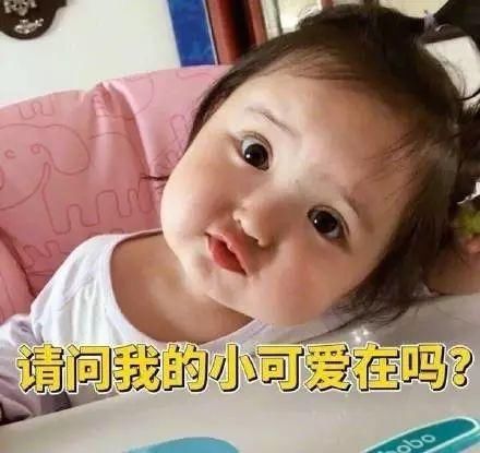 有一个感受女儿的表情是长成?猪表情包掉了图片