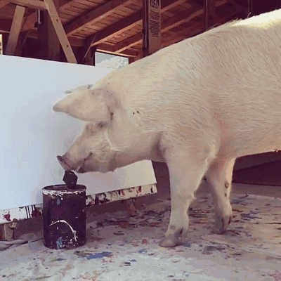 一头猪画画卖100000元,毕加索画不可怕,就怕猪也这样画