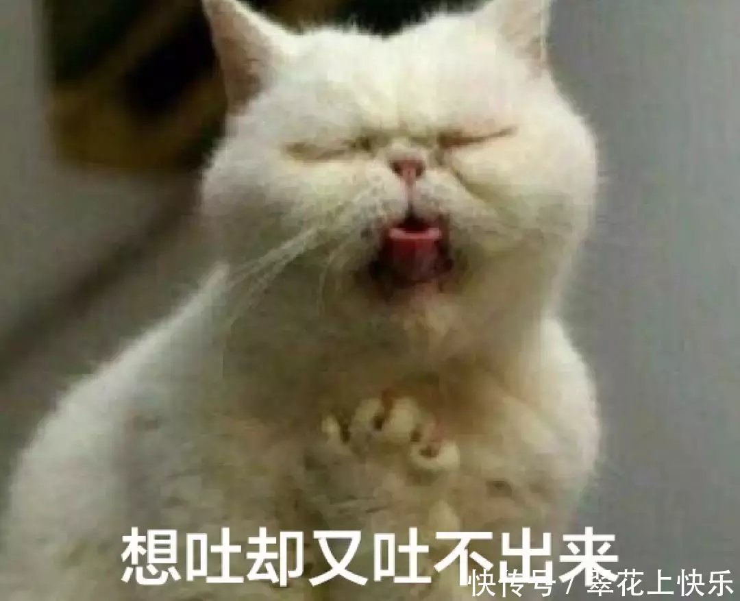 搞笑:图片给我发了一个表情,我知道他外面有人百度贴吧表情保存对象包图片