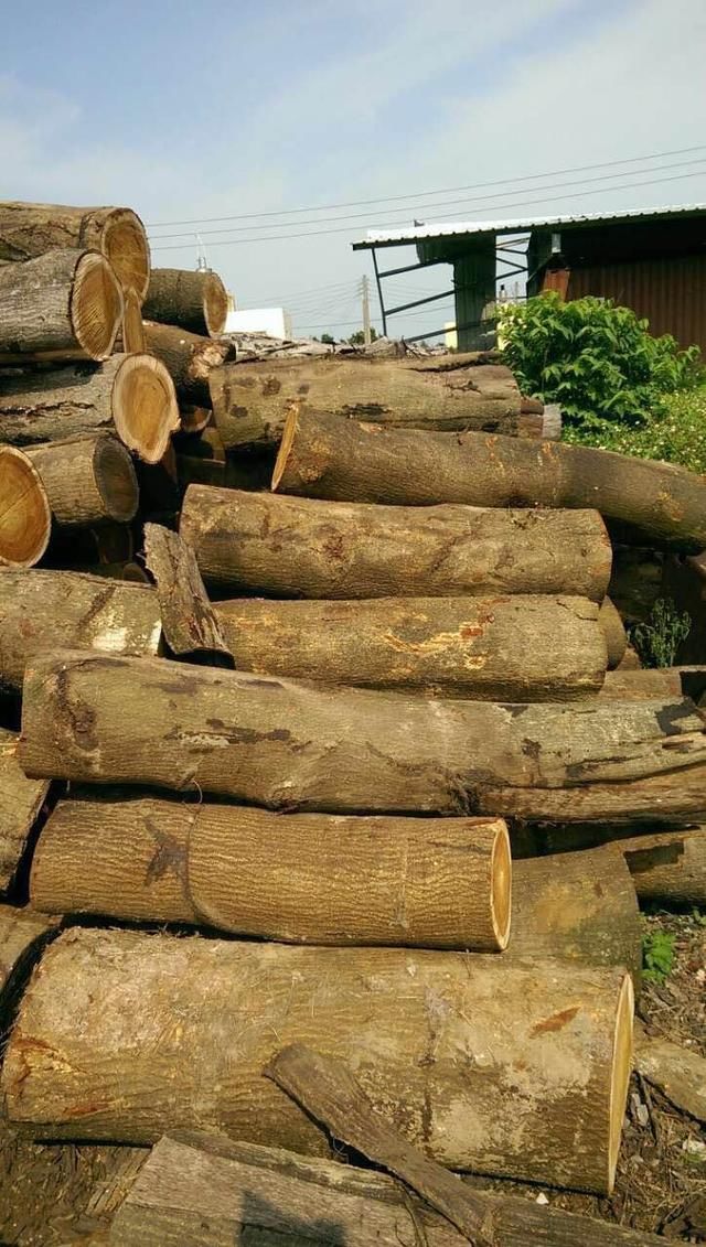 台湾小叶相思木是台湾酸枝,黑檀吗?巧雅国际木业