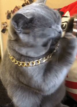 搞笑gif: 吃了顿火锅, 女朋友就说要和我分手