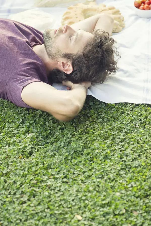 高效终极减肥法晚餐v终极最有效方法减肥法水果男士图片