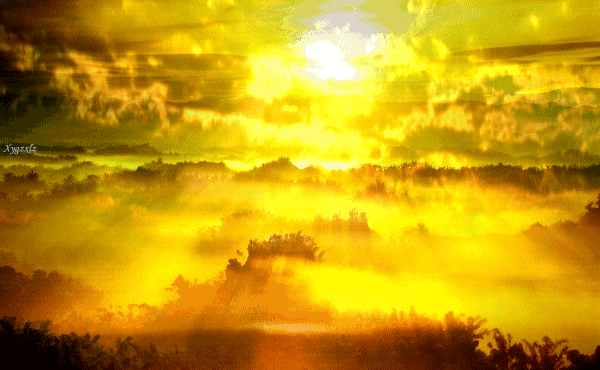 夕阳无限好,最美黄昏时(绝美)