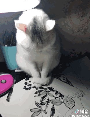 p3.ssl.cdn.btime.com 宽312x406高