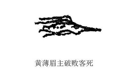 2,黄薄眉  若然眉毛生得太过稀疏浅薄,明显表示了这人很情绪化,如是