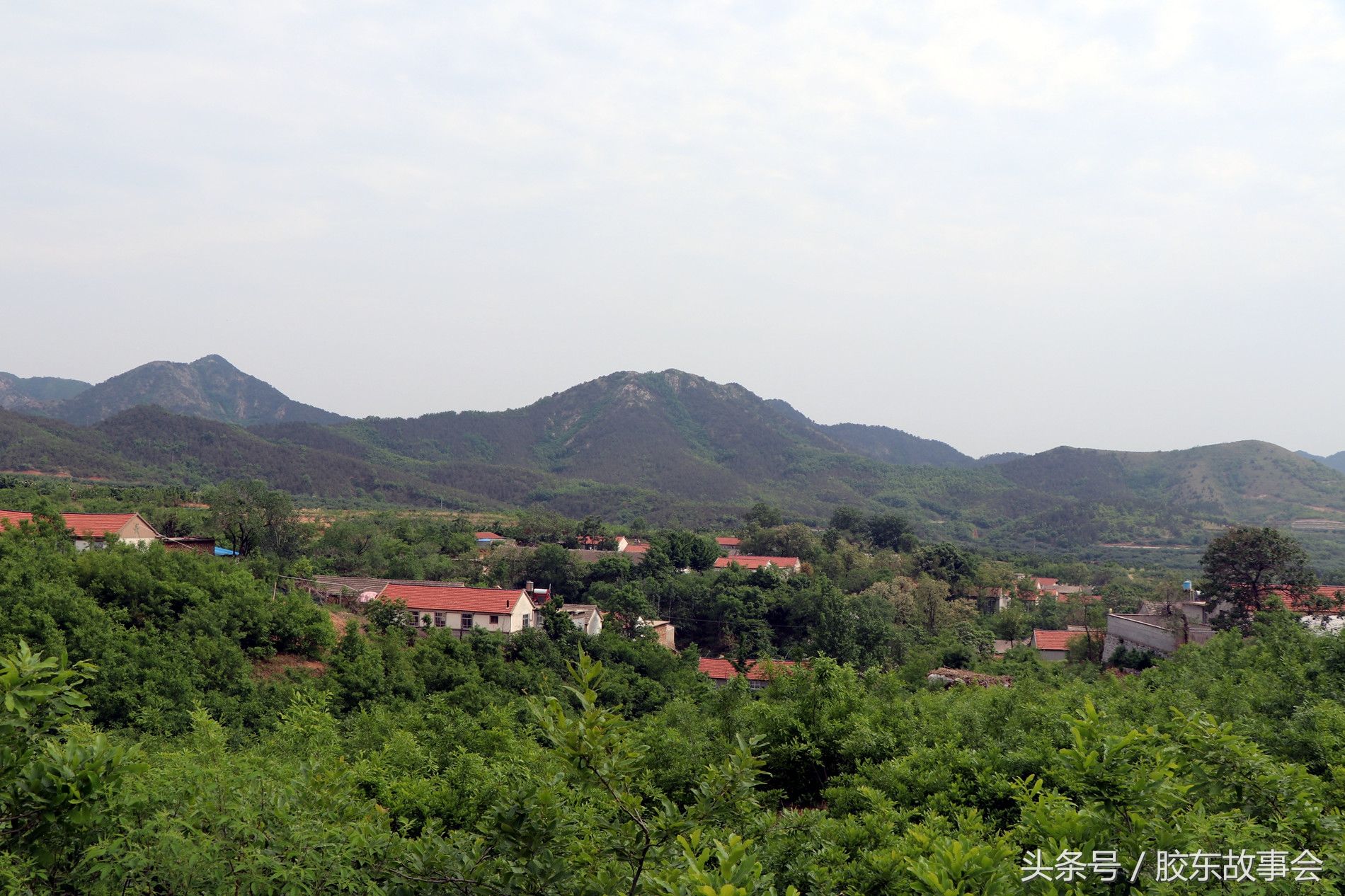 烟台栖霞这个村地处深山,鲜有外人到访,很像世外桃源