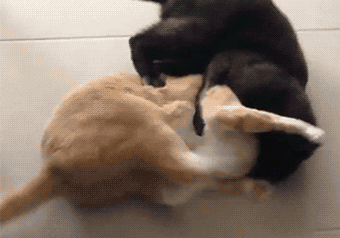 媳妇儿一下就炸锅了,还没来得及说话, 老婆一巴掌就上来了,紧接着