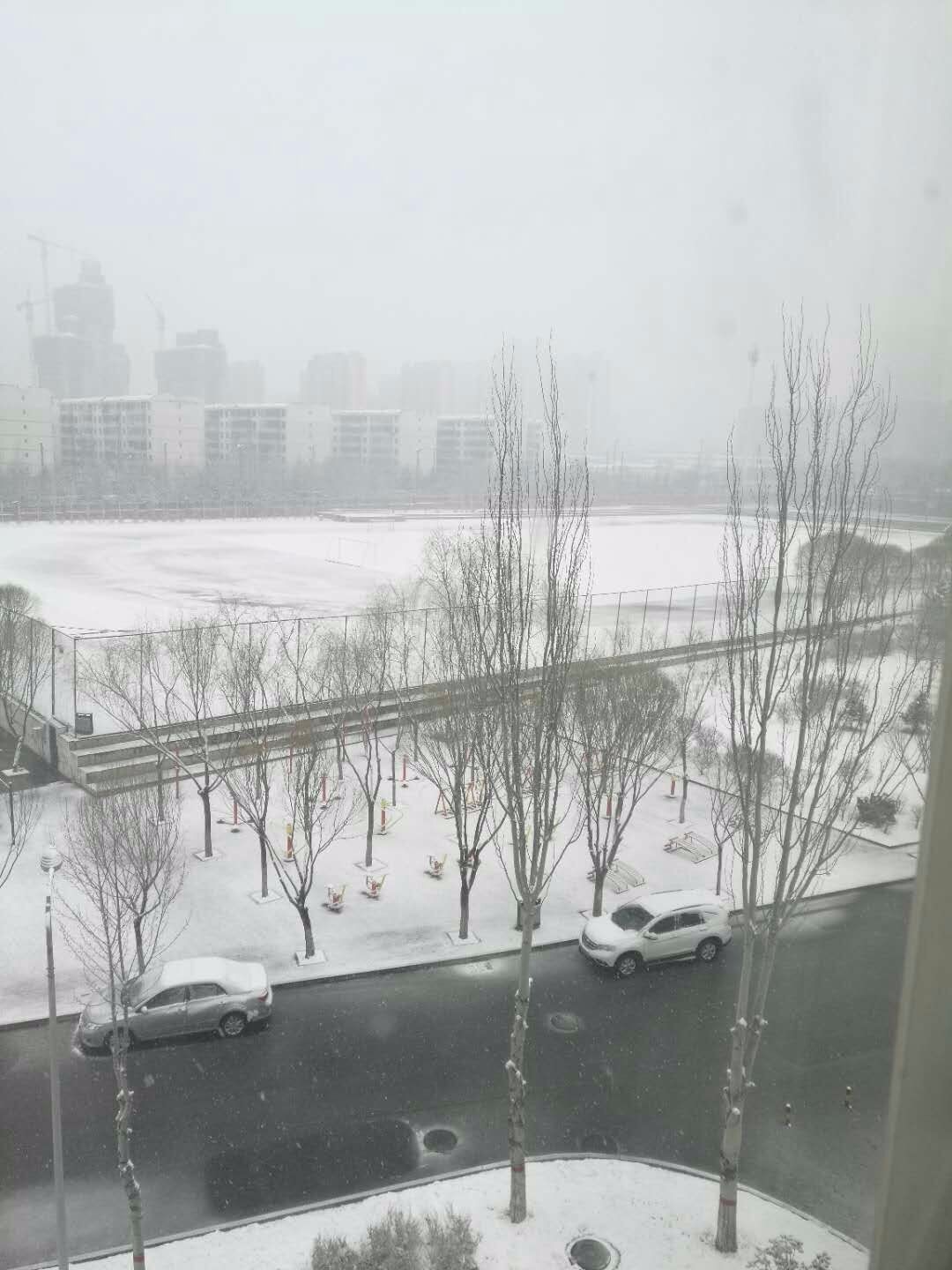 大同下雪啦!春雪喜画大同美