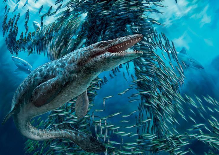 随后和恐龙一起灭绝历来关于中生代海洋霸主的争论都没停止过,基本分