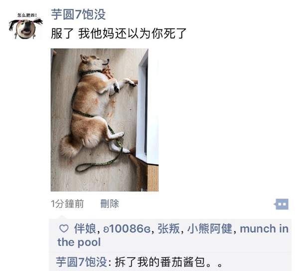 多少钱一个,我说的是长头发的 爆笑内涵囧图