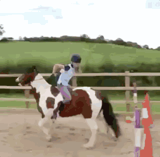 【hit-air 分享一刻】这些年,马老师教给我们的摔跤