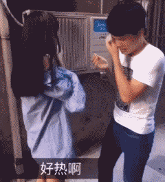 搞笑趣图: 你俩不光是热, 脑子也有毛病了!