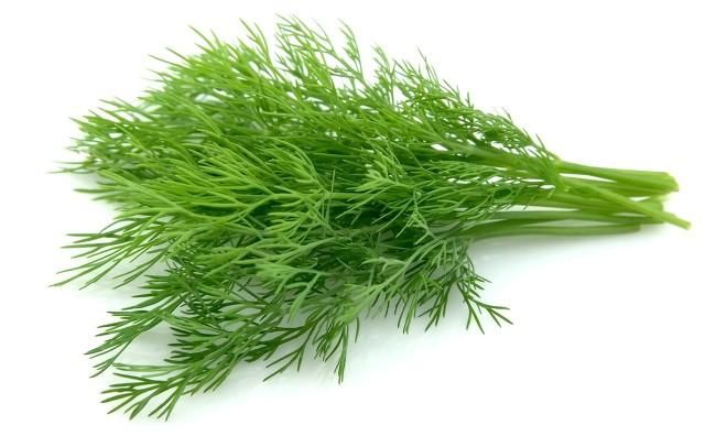 做法完人馅猪肉的饺子4步走给你家的茴香流菜谱做味道刚图片